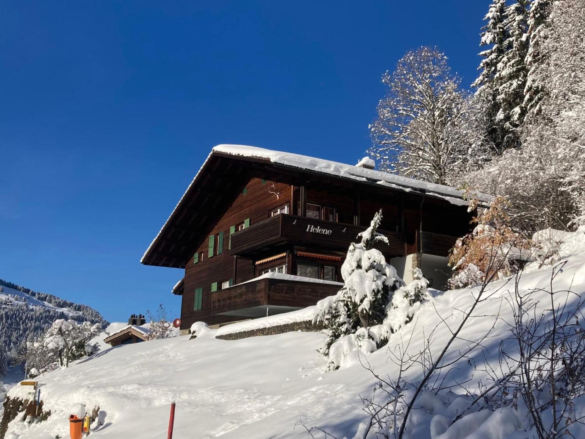 Apartment Helene Apt- Hella By Interhome Wengen Bagian luar foto